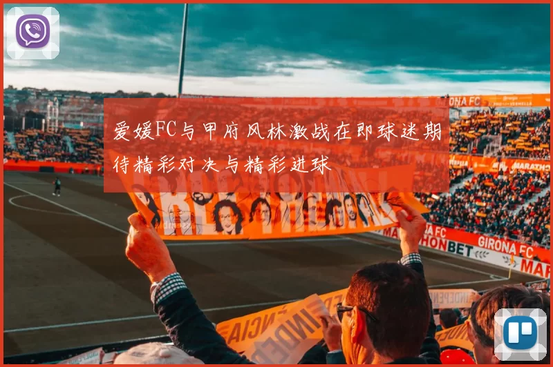 爱媛FC与甲府风林激战在即球迷期待精彩对决与精彩进球