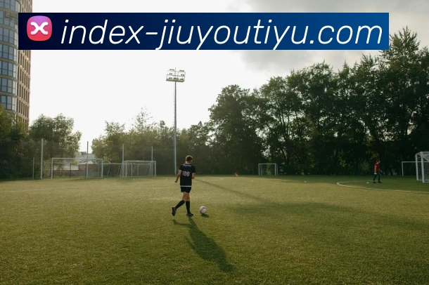 JIUYOU平台生态图